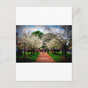 Postal Macon, Georgia