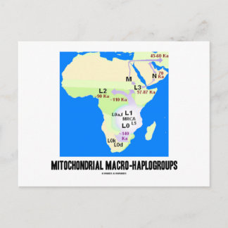Postal MacroHaploggrupos Mitocondriales (Genealogía MRCA)