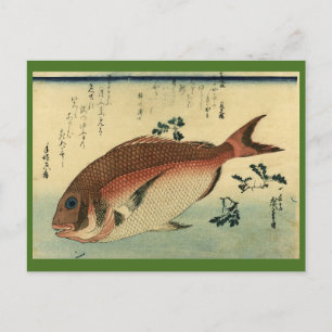 Postal Madai o Tai Rojo - Impresión de pescado japonés de