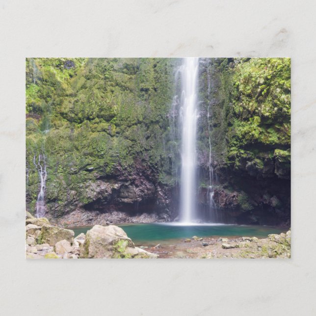 postal Madeira - Levada Do Caldeirao Verde (Anverso)