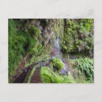 postal Madeira-Levada do Rei