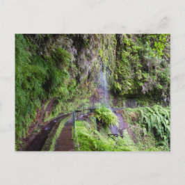 postal Madeira-Levada do Rei