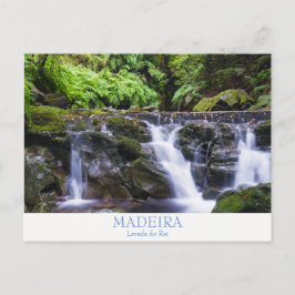 Postal Madeira - Postcard de Levada do Rei con texto