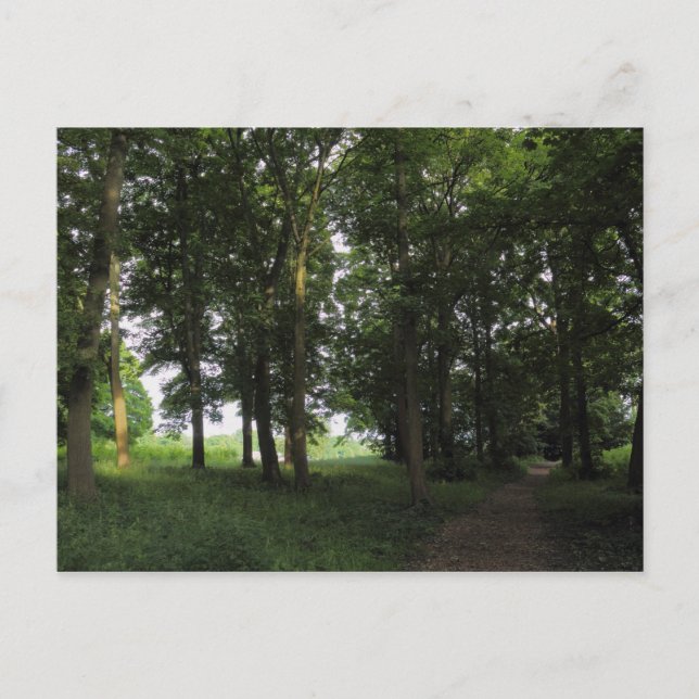 Postal Madera, Bute Park Cardiff (Anverso)