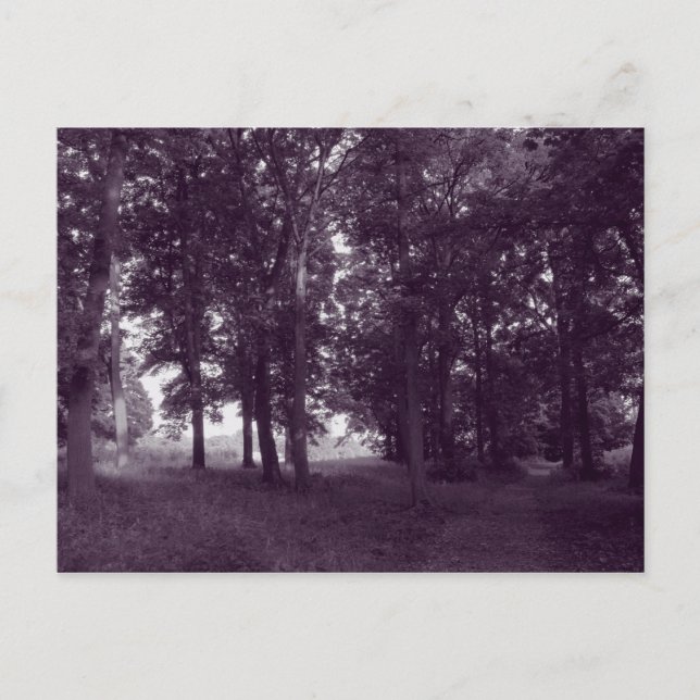 Postal Madera, Bute Park Cardiff - Morado tonificado (Anverso)