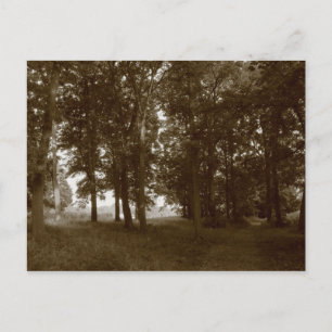 Postal Madera, Bute Park Cardiff - Sepia tonificante