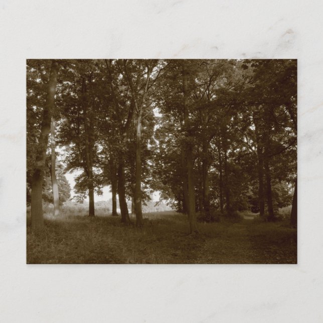 Postal Madera, Bute Park Cardiff - Sepia tonificante (Anverso)