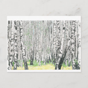 Postal Madera de Birch Plata - Postcard