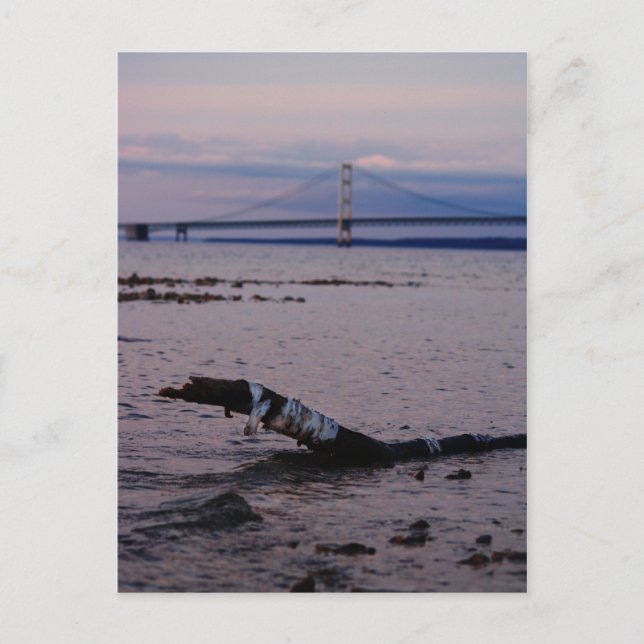 Postal Madera de deriva en el lago Michigan (Anverso)