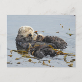 Postal Madera de nutria marina y cachorro