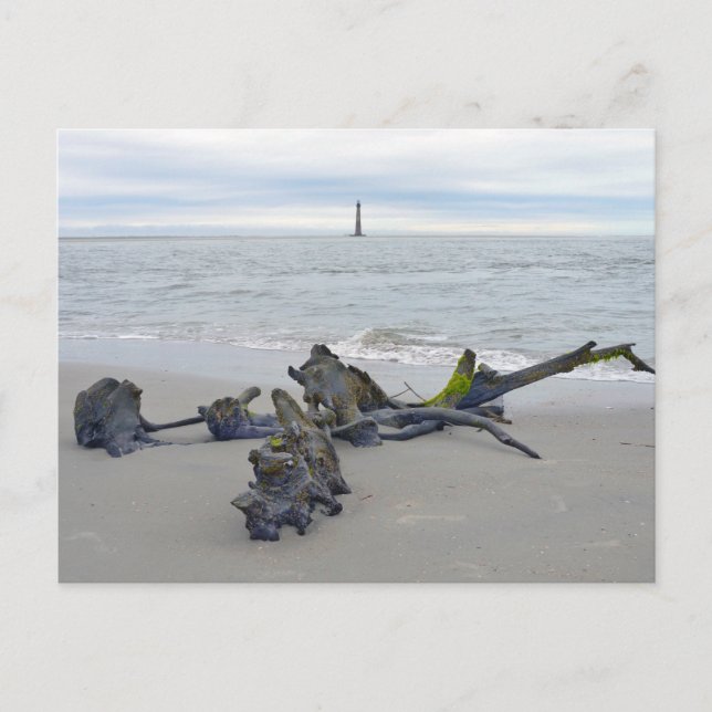 Postal Madera flotante, faro de la isla Morris, Carolina  (Anverso)