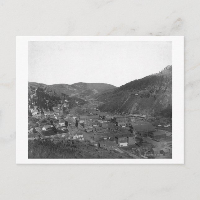 Postal Madera muerta de la fotografía de Livingston's Hil (Anverso)