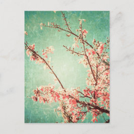 Postal Madera verde azulada y flor de cerezo añejos elega