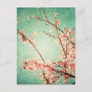 Postal Madera verde azulada y flor de cerezo añejos elega