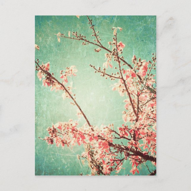 Postal Madera verde azulada y flor de cerezo añejos elega (Anverso)