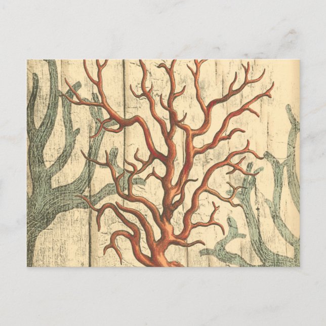Postal Madera y coral pequeño (Anverso)