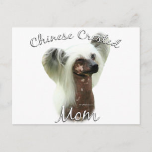 Postal Madre criada china 2