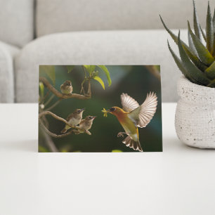 Postal Madre de colibrí comida arriba