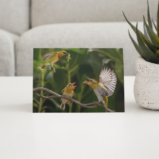 Postal Madre de colibrí elegantemente posada