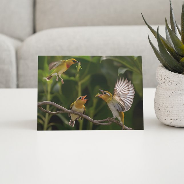 Postal Madre de colibrí elegantemente posada  (Subido por el creador)
