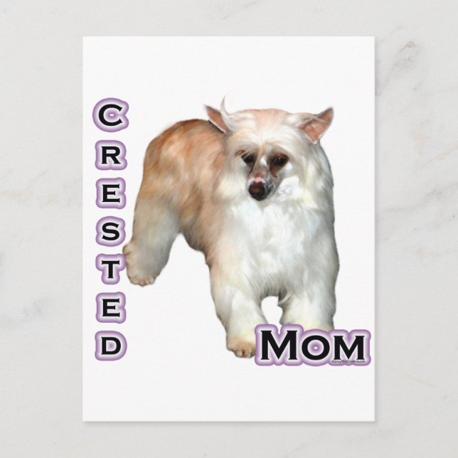 Postal Madre de Crested Powderpuff 4 (Anverso)