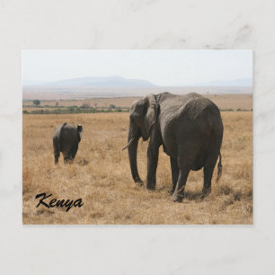 Postal madre de elefante africano