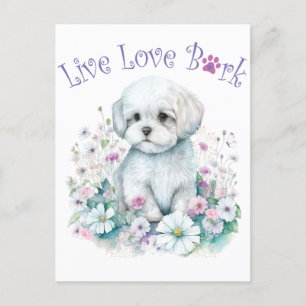 Postal Madre de Perro Maltés Floral
