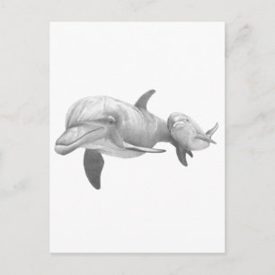 POSTAL MADRE DOLPHINS AMA