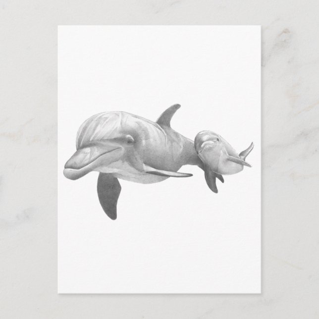 POSTAL MADRE DOLPHINS AMA (Anverso)