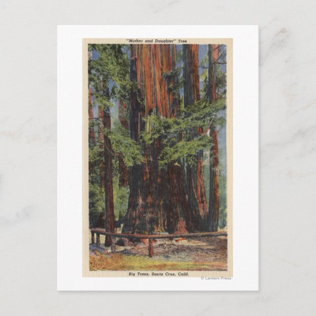 Postal "Madre" e "hija" en el parque de los grandes árbol (Anverso)