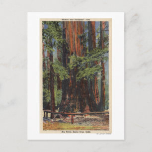 Postal "Madre" e "hija" en el parque de los grandes árbol