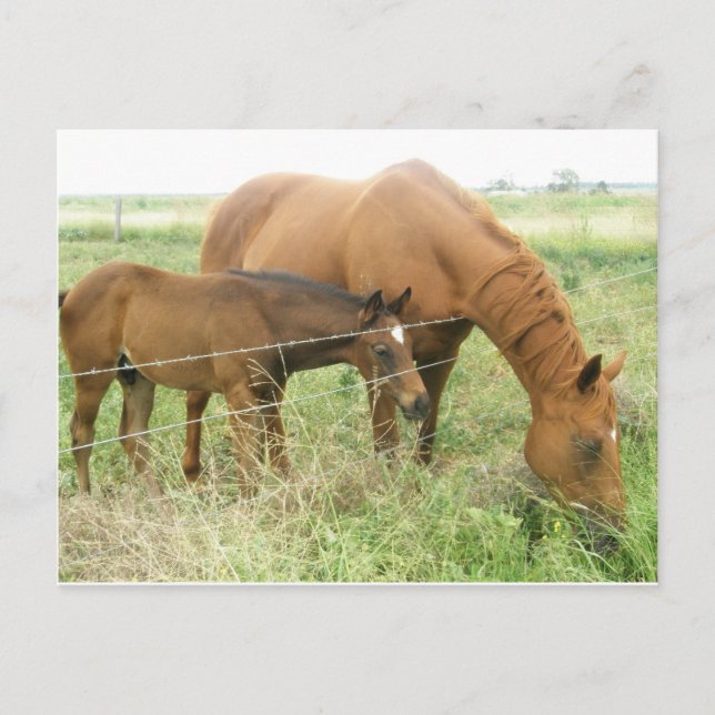 Postal Madre e hijo (Anverso)