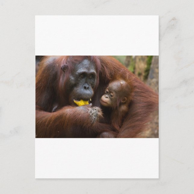 Postal Madre e hijo (Anverso)