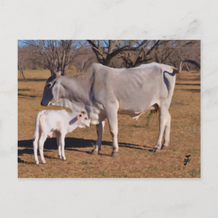 Postal Madre e hijo