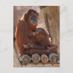 Postal Madre e hijo naranjas 7312