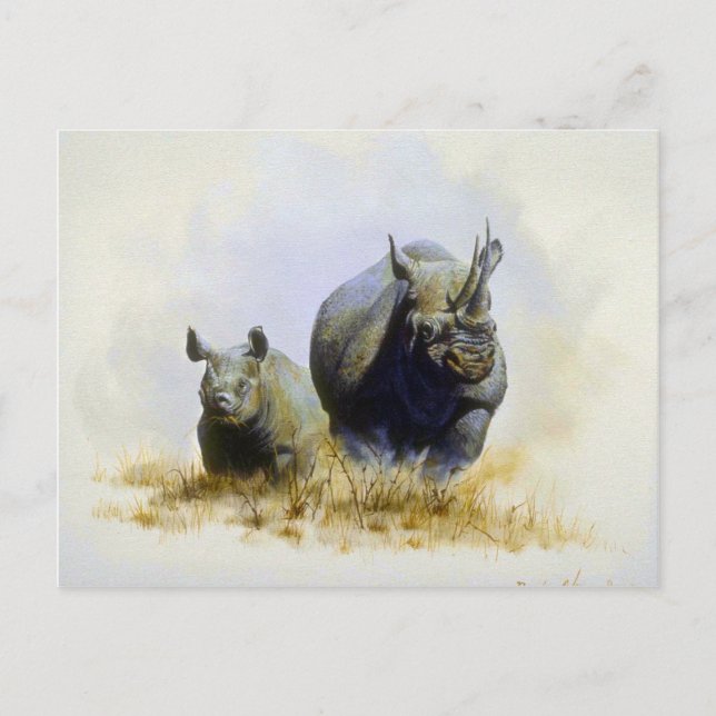 Postal Madre e hijo, Rhinoceros (Anverso)