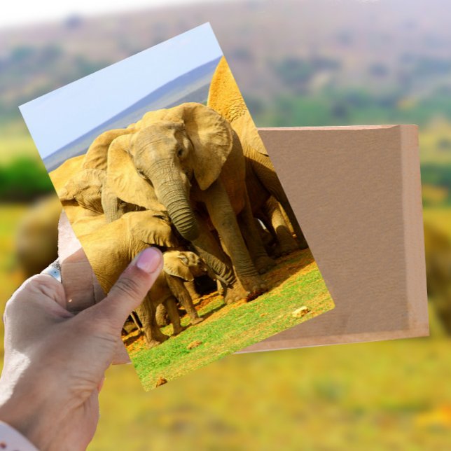 Postal Madre elefante y ternera Postcard (Subido por el creador)