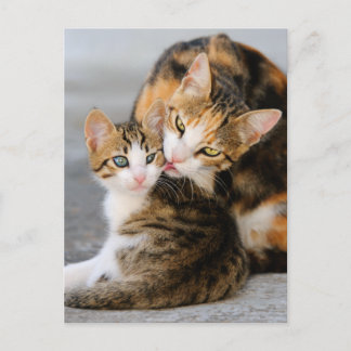 Postal Madre gata ama al lindo gatito