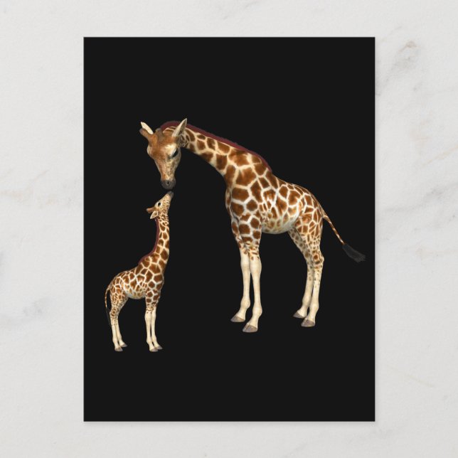 Postal Madre Giraffe y bebé Giraffe (Anverso)