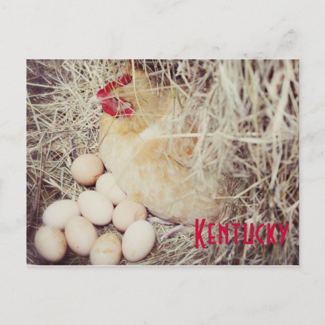 Postal Madre Hen por JerseyFawn (Anverso)