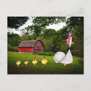 Postal Madre Hen Postcard