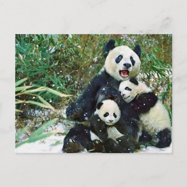 Postal Madre Panda (Anverso)