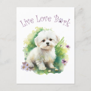 Postal Madre Perro Bichón Floral