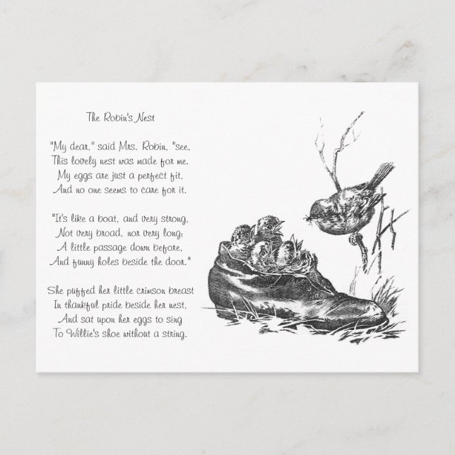 Postal Madre Robin y sus bebés en un zapato (Anverso)