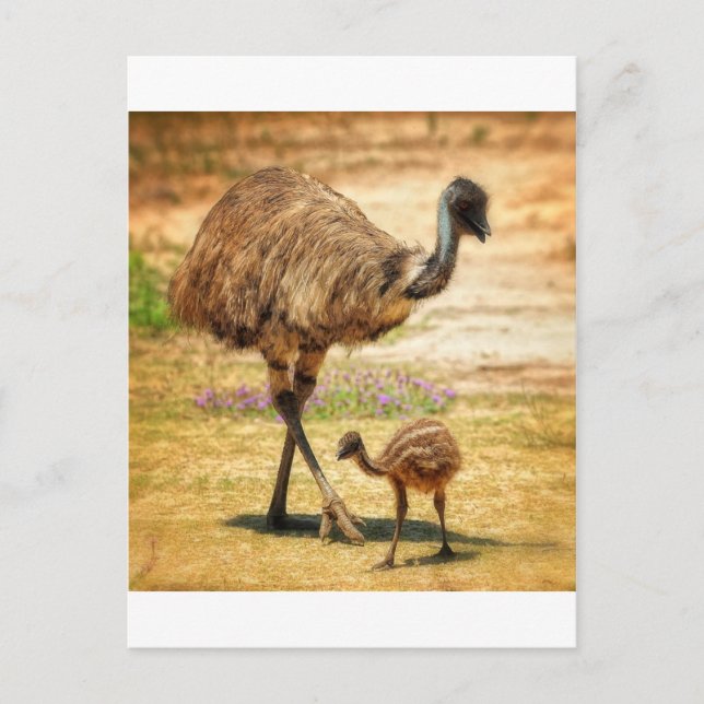 Postal Madre vigilando a su bebé (Anverso)