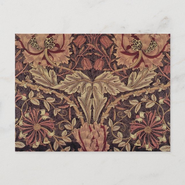 Postal Madreselva de William Morris, flores de jardín Art (Anverso)