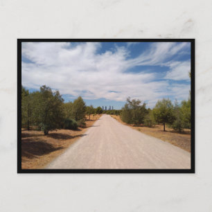 Postal Madrid (España)