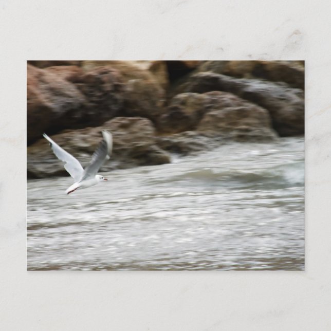 Postal maestra de viento (Anverso)