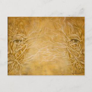 Postal Maet/Némesis