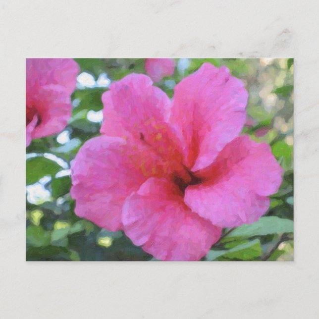 Postal Magenta Hibiscus Postcard (Anverso)